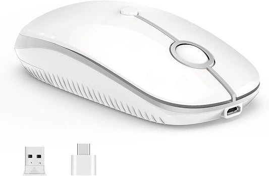 Type C Wireless Mouse,Vssoplor USB C Mouse Dual Mode 2.4G Cordless Mice with Nano USB and Type C Receiver Compatible with PC, Laptop, MacBook and All Type C Devices-White Silver