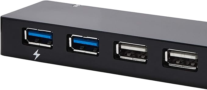 Amazon Basics USB 3.0, 10 Port HUB With AC Adapter, Black