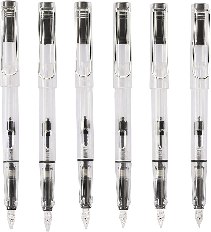 Lanxivi Yongsheng Calligraphy Fountain Pen Set Transparent Clear, 6 Assorted Tip Sizes for Art Drawing and Writing Signature