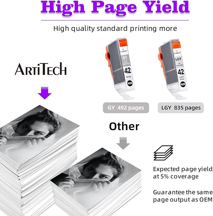 CLI-42 Pixma Pro-100 Ink Replacement for Canon CLI42 GY CLI-42 LGY Compatible Ink Cartridge Use for Pixma Pro-100 Pro-100s Printers 4 Value Pack (2 Gray, 2 Light Gray)