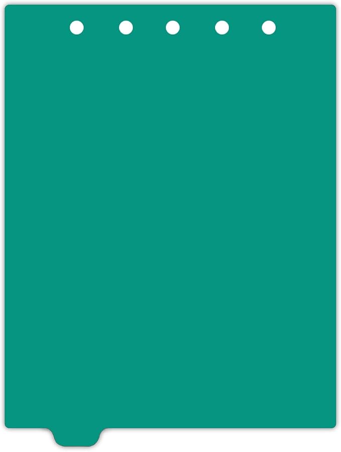 Carstens - Heavy Duty Plastic Ring Binder Dividers, Bottom Tab, 1/9 Cut, Tab 2 Position, US Letter, Turquoise, Pack of 10, (2619-02) - Ideal Medical Chart Dividers or Index Tabs for 3 Ring Binders