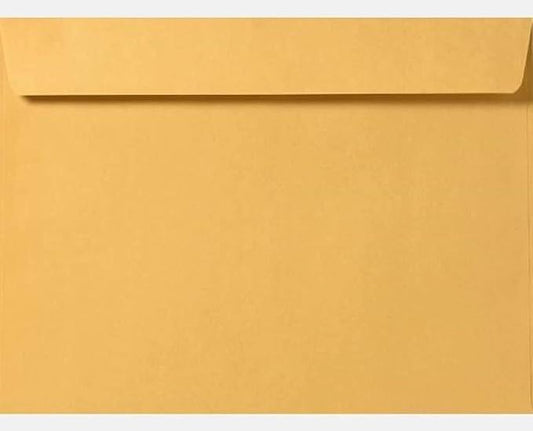 Limited Papers (TM) Booklet Envelopes, (Open Side) Brown Kraft, Gummed Seal, 28 Pound, Heavyweight, For Mailing And More. (250, 9.5 x 12)