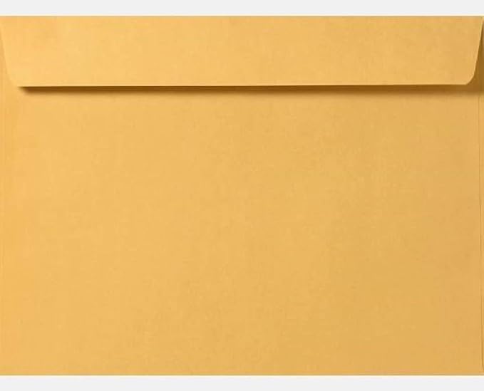 Limited Papers (TM) Booklet Envelopes, (Open Side) Brown Kraft, Gummed Seal, 28 Pound, Heavyweight, For Mailing And More. (250, 9.5 x 12.5)