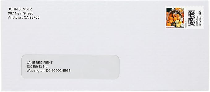 Pumpkins Galore NetStamps 120-Pack (5 Sheets) Printable Postage Labels (Stamps.com Subscription Required) - Print Approved Postage - Inkjet & Laser Printers - Business, Personal, Home