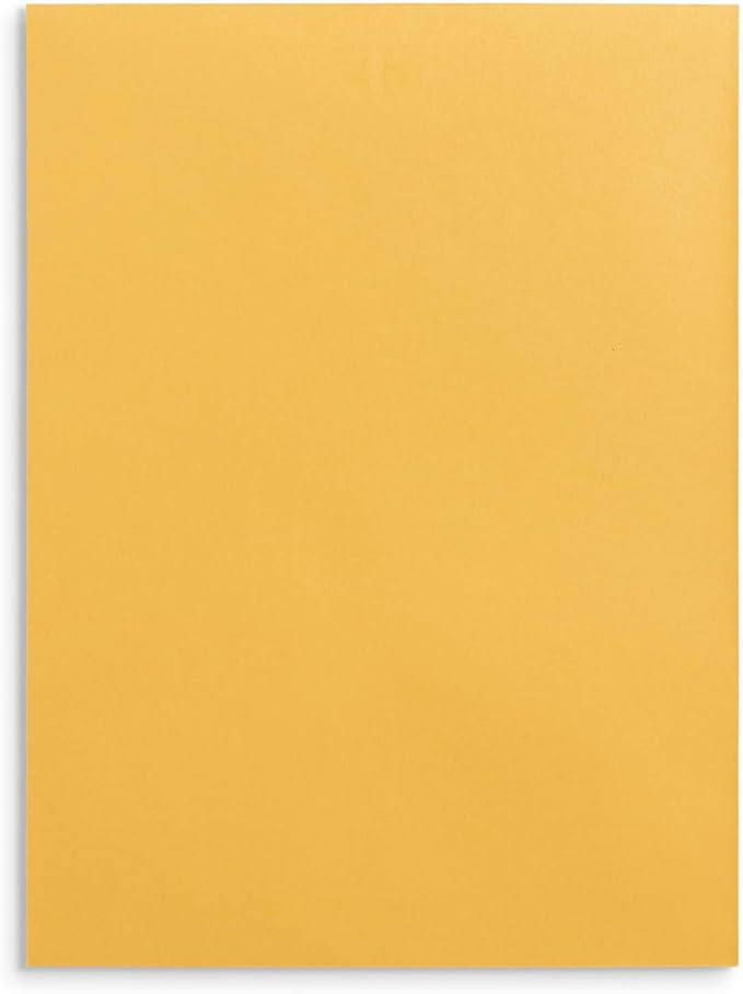 Blue Summit Supplies 100 9” x 12” Clasp Envelopes with Gummed Seal, Letter Size Clasp Mailing Envelopes Made From 28lb Kraft Paper, For Mailing Larger Papers or Magazine, Bulk 100 Pack