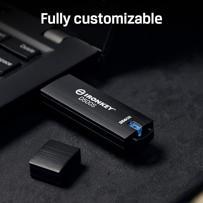 Kingston Ironkey D500S 16GB Encrypted Flash Drive | Dual Hidden Partition | FIPS 140-3 Level 3 | XTS-AES 256-bit | BadUSB and Brute Force Protection | Multi-Pin Option | IKD500S/16GB,Black