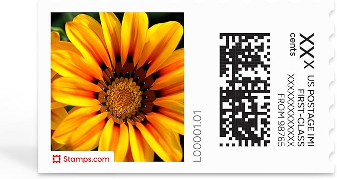 Treasure Flowers NetStamps 120-Pack (5 Sheets) Printable Postage Labels (Stamps.com Subscription Required) - Print Approved Postage - Inkjet & Laser Printers - Business, Personal, Home