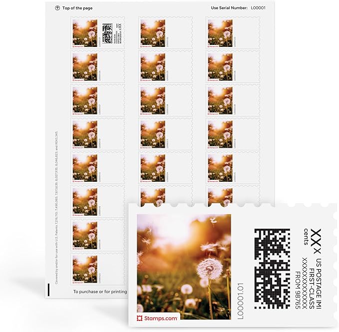 Dandelion Wishes NetStamps 120-Pack (5 Sheets) Printable Postage Labels (Stamps.com Subscription Required) - Print Approved Postage - Inkjet & Laser Printers - Business, Personal, Home
