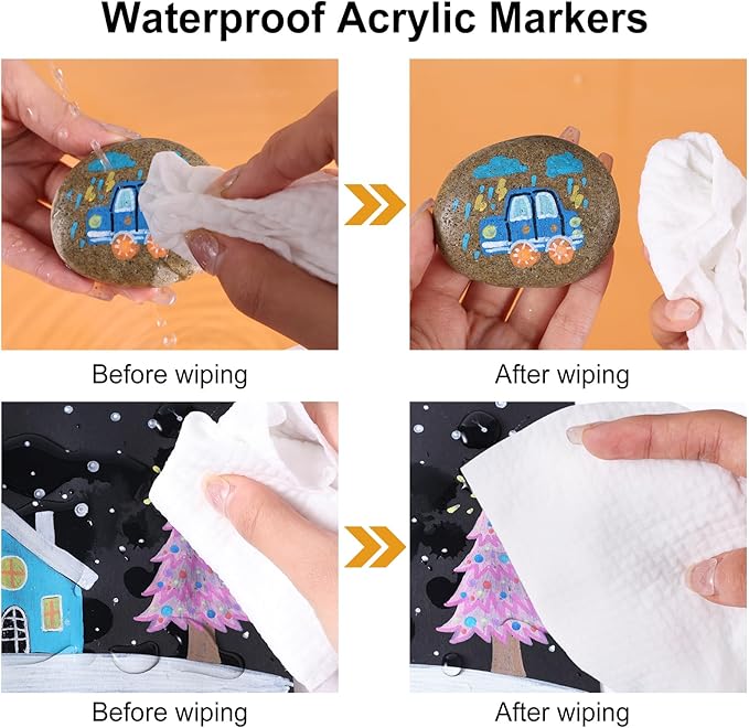 12 Colors Waterproof Dual Tip Acrylic Paint Pens, Dot & Fine Tip Premium Coloring Drawing Markers Set for Wood, Rock Painting, Canvas, Glass, Ceramic Surfaces and DIY Crafts Making Art Supplies