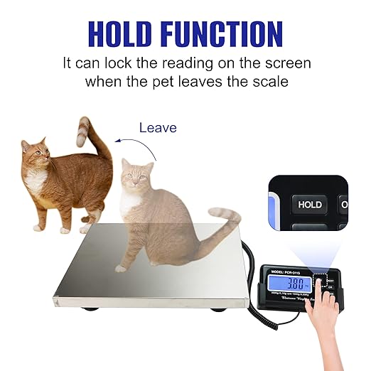 Charmline 660lbs x 0.2oz High Accuracy Digital Postal Scales, Shipping Scale with 15x12 Stainless Steel Platform, Heavy Duty Scale for Packages/Small Business/Postage/Luggage