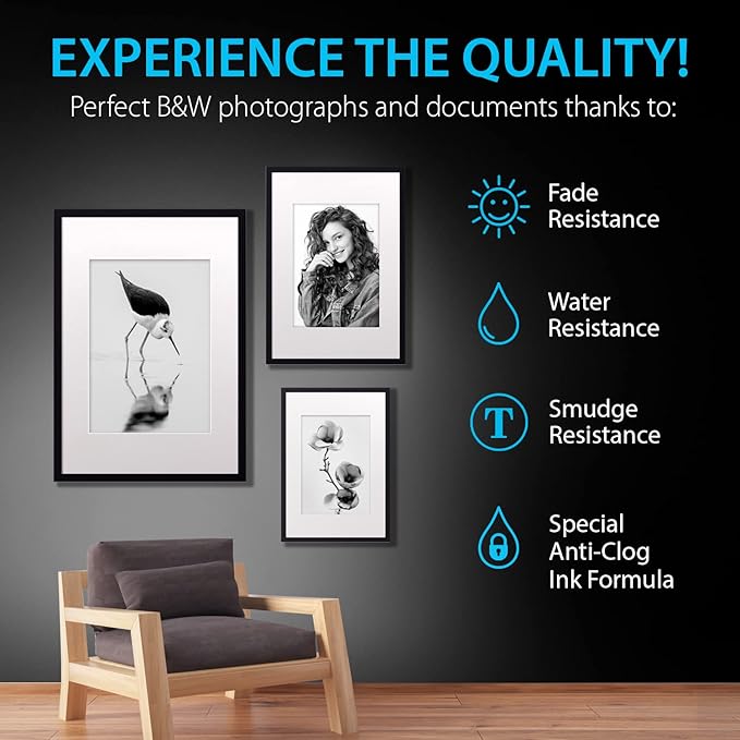 Smart Ink Compatible Ink Cartridges Replacement for HP 952XL HP 952 XL (2 Black Combo Pack) to use with HP Printer OfficeJet Pro 8710 7740 8720 8715 8210 7720 8740 8725 8700 OfficeJet 8702