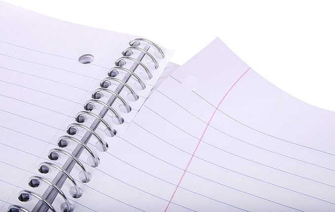 Mintra Office Durable Spiral Notebooks, 1 Subject, (Arctic Ice, Chili Oil, Green Olive, Wide Ruled 3pk)