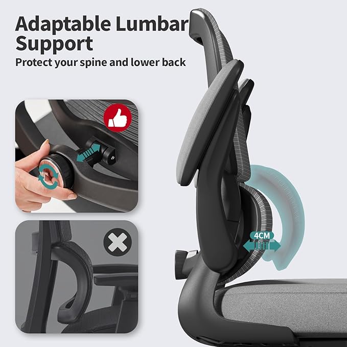 TRALT Office Chair - Ergonomic Desk Chair with Adjustable Lumbar Support, Mesh Computer Chair, Executive Chairs for Home Office Comfortable Lumbar Support (Dark Gray)