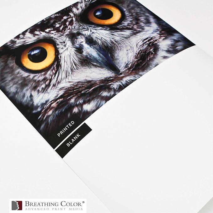 Vibrance Matte Photo Printer Paper 12 mil 230 gsm Matte Finish Premium Photo Paper Roll on 3in Core 24 inches x 100 ft Works with Most Inkjet Printer Professional Makes and Models Like Epson Canon HP