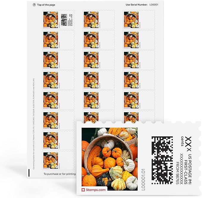 Pumpkins Galore NetStamps 120-Pack (5 Sheets) Printable Postage Labels (Stamps.com Subscription Required) - Print Approved Postage - Inkjet & Laser Printers - Business, Personal, Home