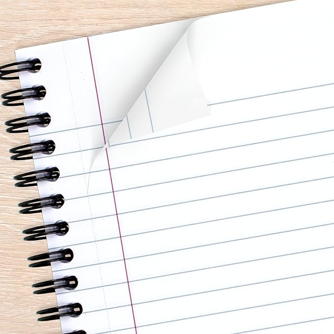 Cambridge Limited Business Notebook, Legal Ruled Paper, 8-1/4" x 11", 80 Sheets, Flexible Soft Touch Cover, Wirebound, Gray (06062)