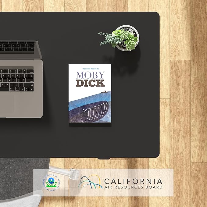 FLEXISPOT EN1 One-Piece Standing Desk, 48 x 30 Inches Electric Height Adjustable Desk for Home Office (White Frame + Black Desktop, 2 Packages)